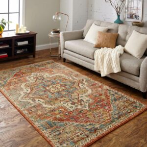 Area rug in living room | Discount Carpet Warehouse